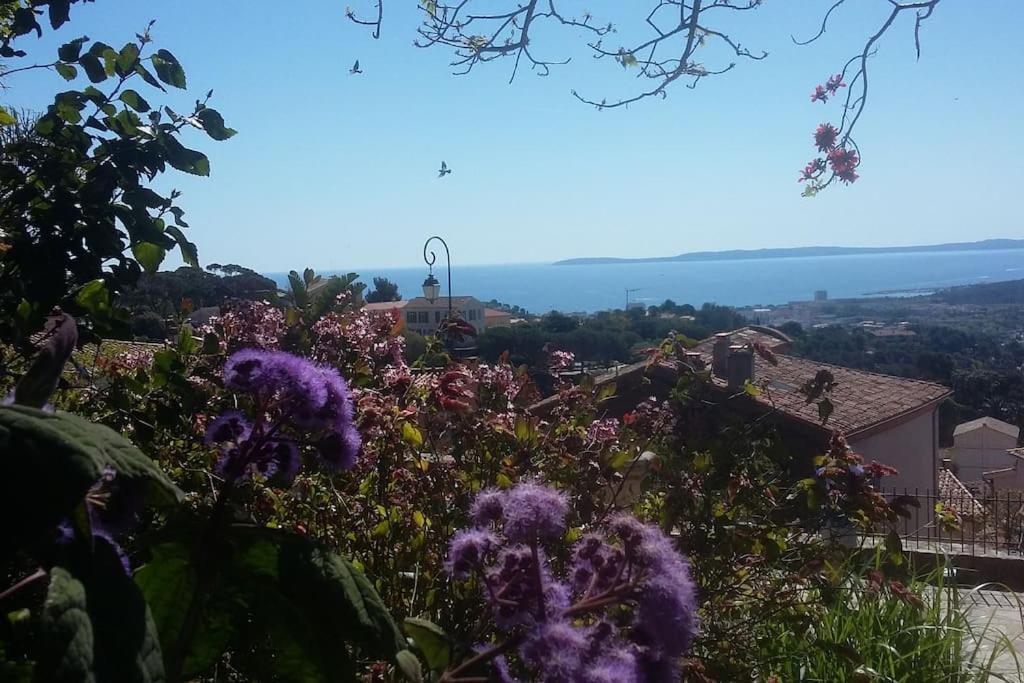 Studio 4 Pers Coeur Du Lavandou 5Mn A Pied Des Plages Le Lavandou Exterior photo